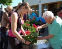 blumen 1